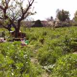 Una porzione di terra con degli strumenti utilizzati per lavorare il campo